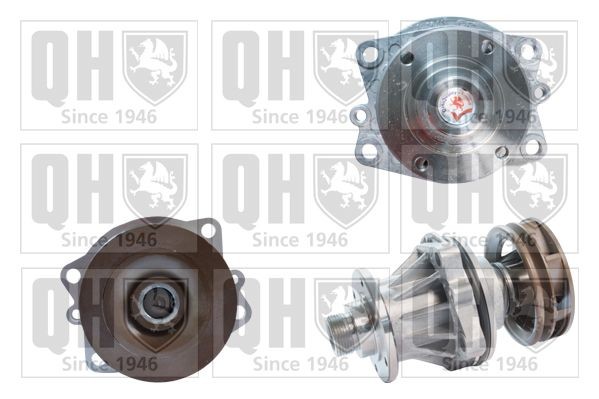 QUINTON HAZELL QCP2735 Water pump with gaskets/seals, Water Pump Pulley Ø: 65 mm