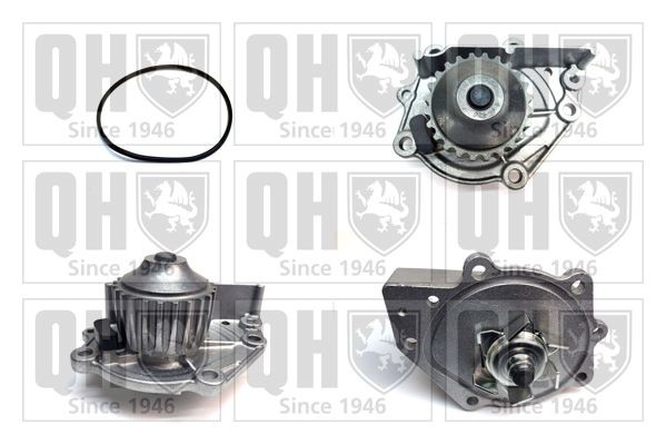 QUINTON HAZELL QCP2743 Water pump Number of Teeth: 24, Water Pump Pulley Ø: 60 mm, for timing belt drive