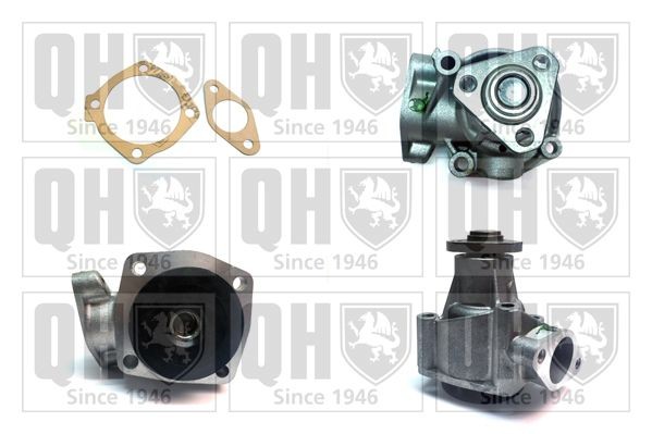 QUINTON HAZELL with gaskets/seals Water pumps QCP2899 buy