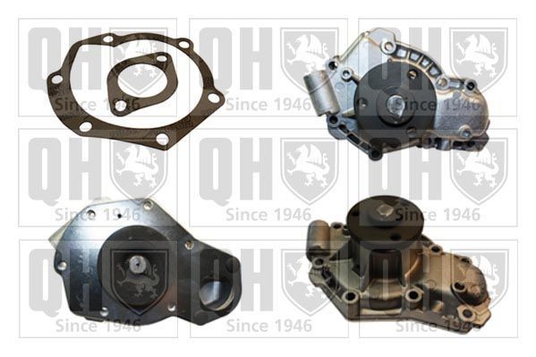 QUINTON HAZELL QCP3124 Water pump with gaskets/seals