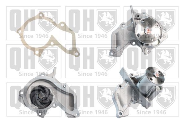 MCP3224 QUINTON HAZELL with gaskets/seals, Water Pump Pulley Ø: 58 mm Water pumps QCP3224 buy