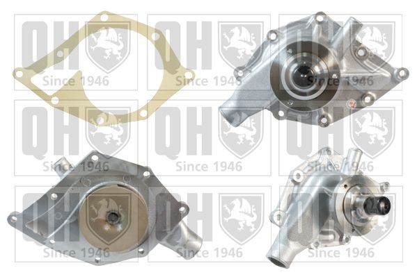 QUINTON HAZELL QCP3291 Water pump RTC6395