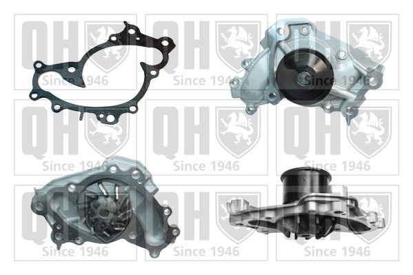 QUINTON HAZELL QCP3359 Water pump LEXUS experience and price