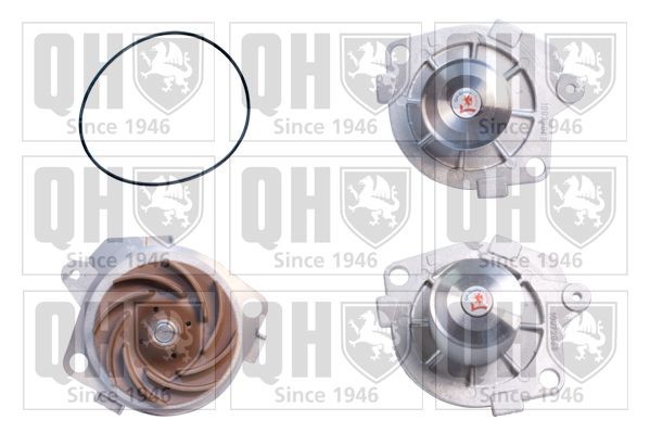 QUINTON HAZELL QCP3366 Water pump for toothed belt drive