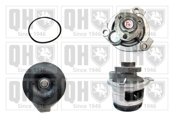 QUINTON HAZELL QCP3387 Water pump with gaskets/seals