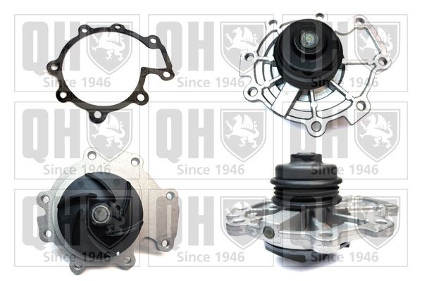 QUINTON HAZELL QCP3409 Water pump JAGUAR experience and price