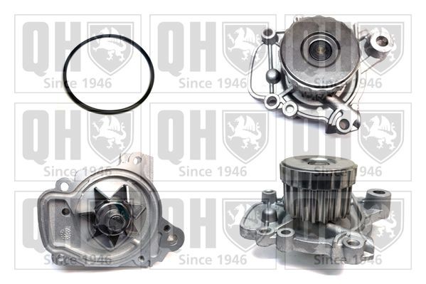 QUINTON HAZELL QCP3529 Water pump for timing belt drive