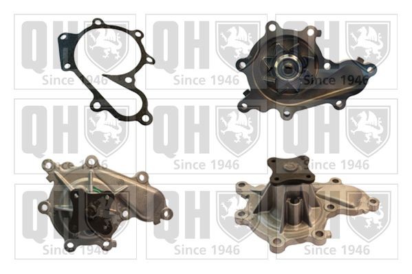QUINTON HAZELL QCP3555 Water pump with gaskets/seals