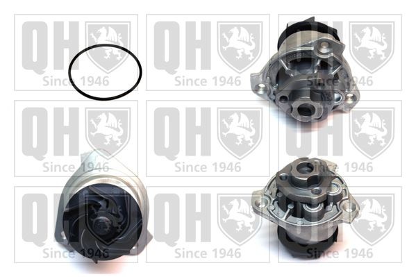 QUINTON HAZELL QCP3576 Water pump Golf 4 2.8 VR6 4motion 204 hp Petrol 2001 price