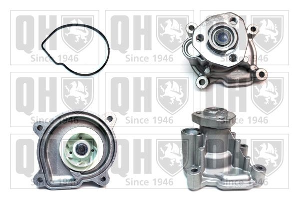 QUINTON HAZELL Water Pump Pulley Ø: 54 mm Water pumps QCP3601 buy