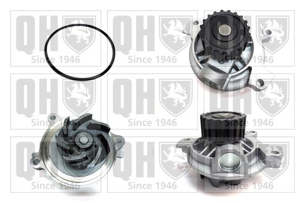 QUINTON HAZELL QCP3620 Water pump Number of Teeth: 20, for timing belt drive