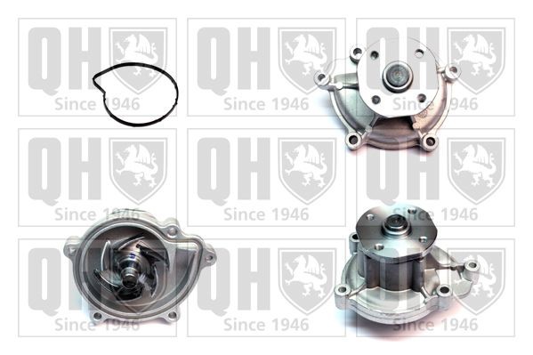 QUINTON HAZELL QCP3624 Water pump with gaskets/seals, Water Pump Pulley Ø: 60 mm