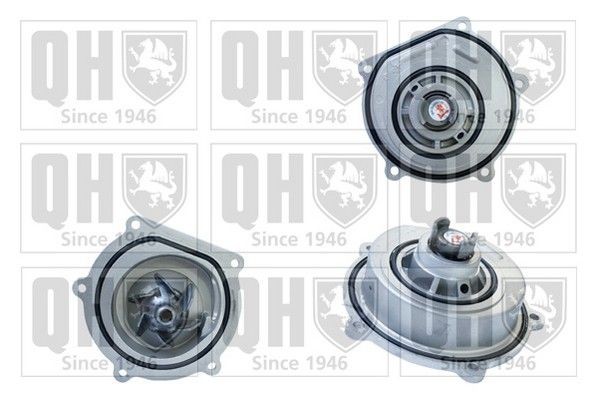 QUINTON HAZELL with gaskets/seals Water pumps QCP3646 buy