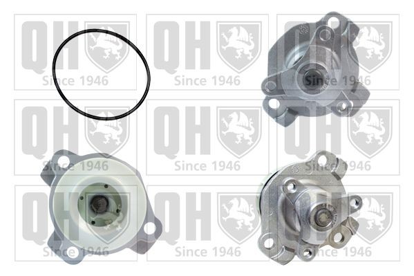 QUINTON HAZELL QCP3662 Water pump Plastic, with gaskets/seals, Water Pump Pulley Ø: 60 mm