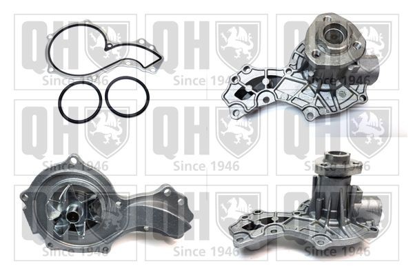 MCP4453 QUINTON HAZELL QCP4453 Water pump and timing belt kit 026121005JX