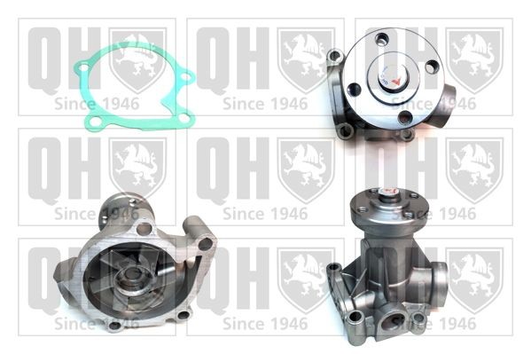 Volvo AMAZON Belt and chain drive parts - Water pump QUINTON HAZELL QCP976