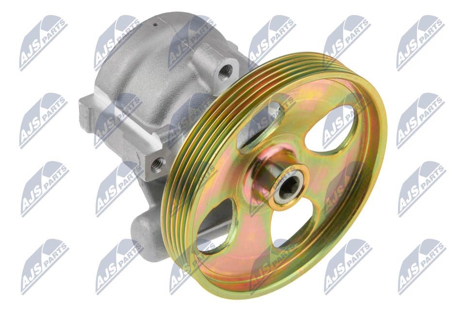 NTY SPW-RE-012 Power steering pump 49 11 000 Q2L