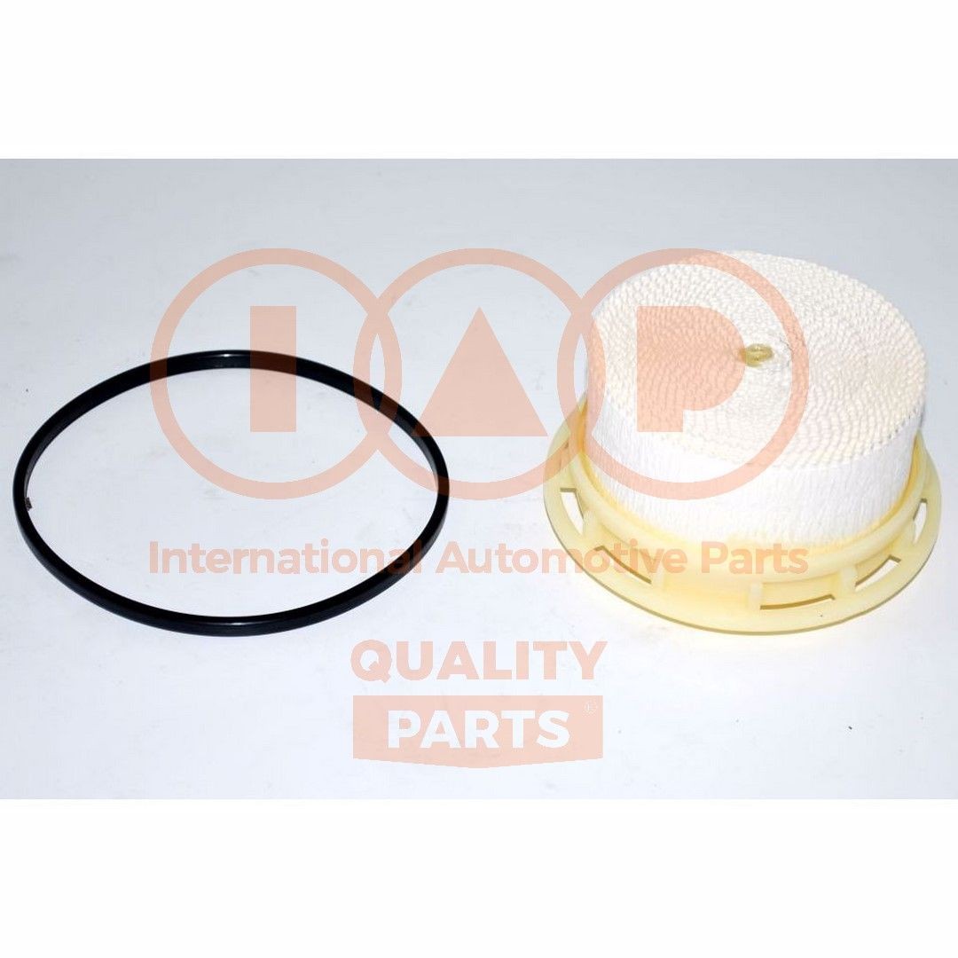 12217054 Inline fuel filter IAP QUALITY PARTS 122-17054 review and test