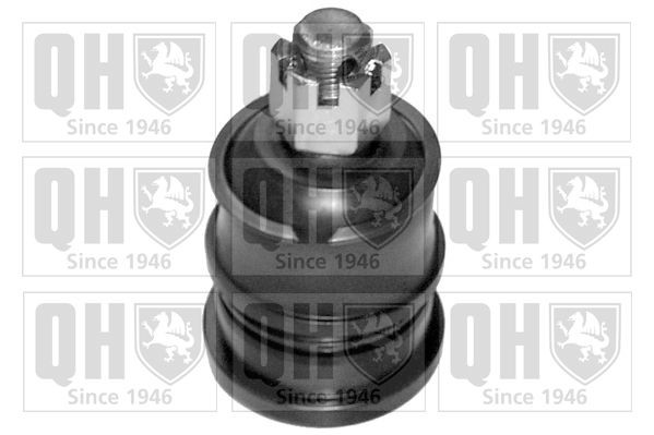 QUINTON HAZELL 19,6mm Cone Size: 19,6mm Suspension ball joint QSJ9146S buy