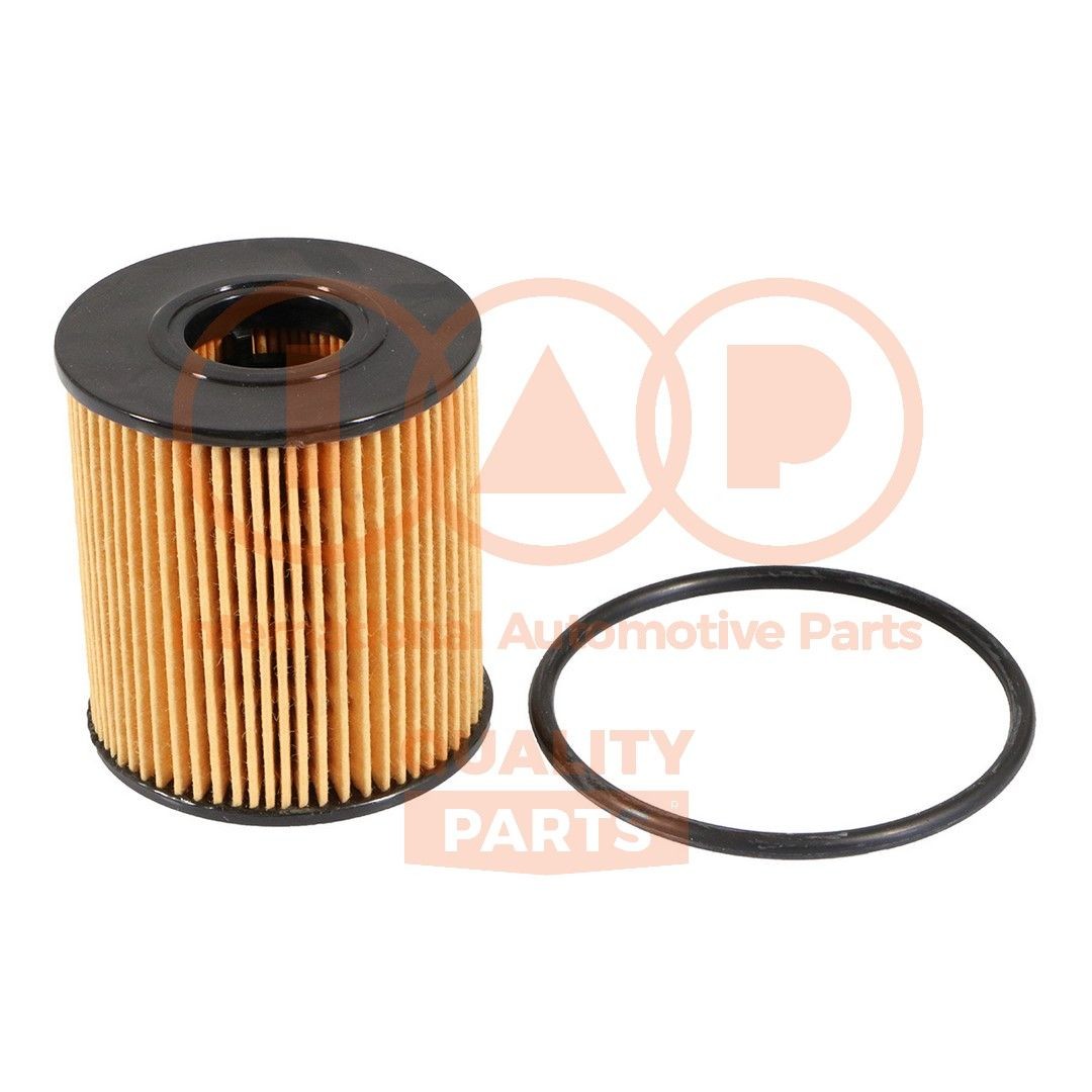 IAP QUALITY PARTS 123-14073 Oil filter MN982419