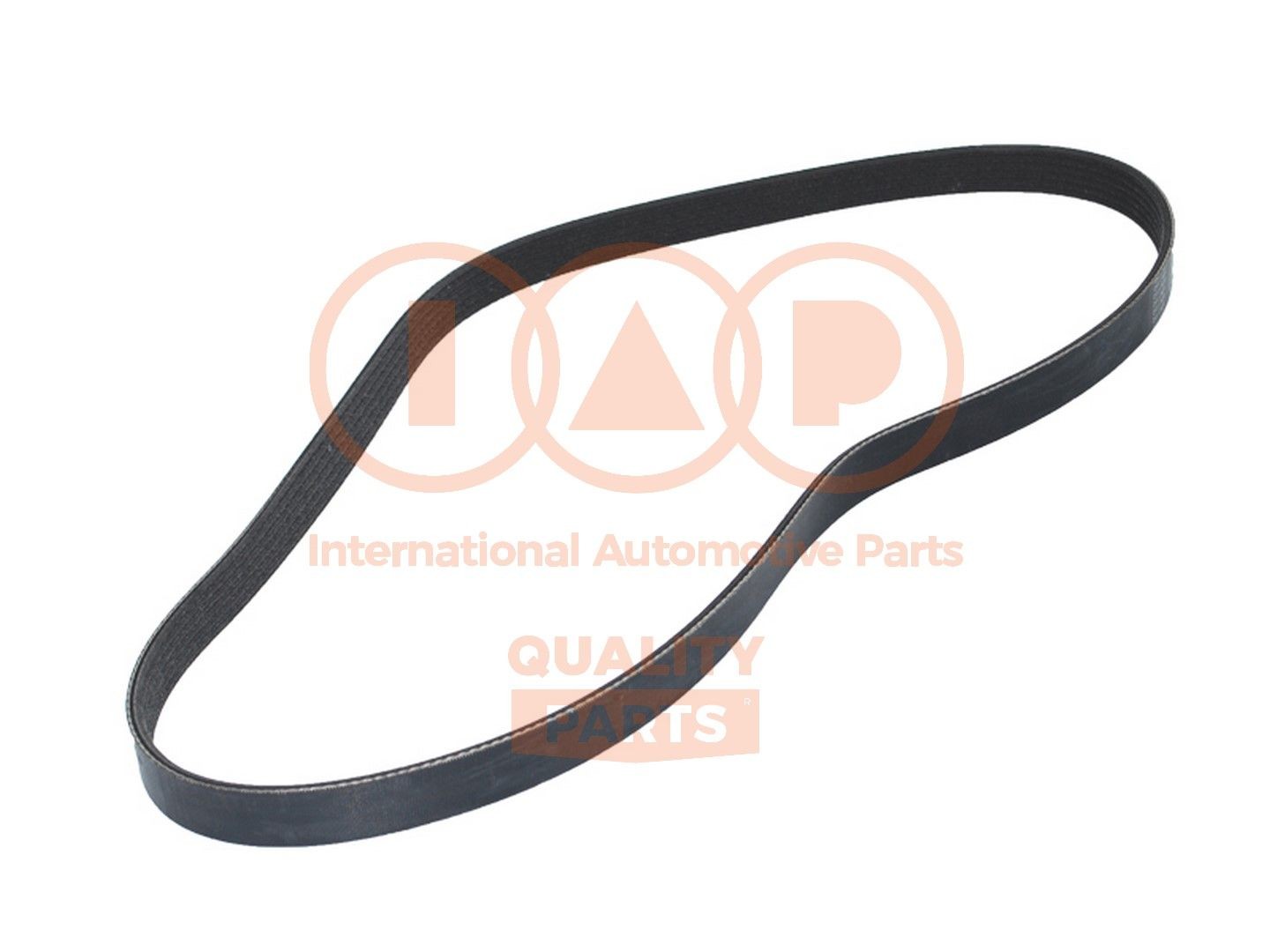 6PK1130 IAP QUALITY PARTS 14013094 Alternator belt VW Golf Mk7 2.0 GTI 230 hp Petrol 2020 price
