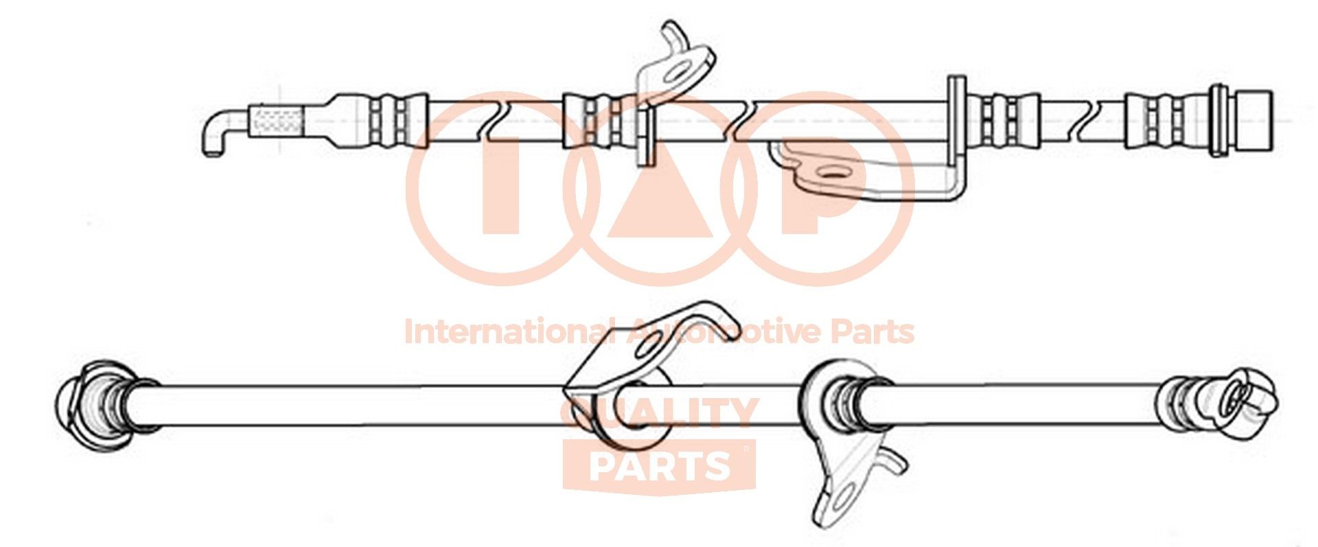 IAP QUALITY PARTS Right Front, 710 mm, M10X1 Length: 710mm, Thread Size 2: BANJO � 10, Internal Thread: M10X1mm Brake line 708-17156 buy