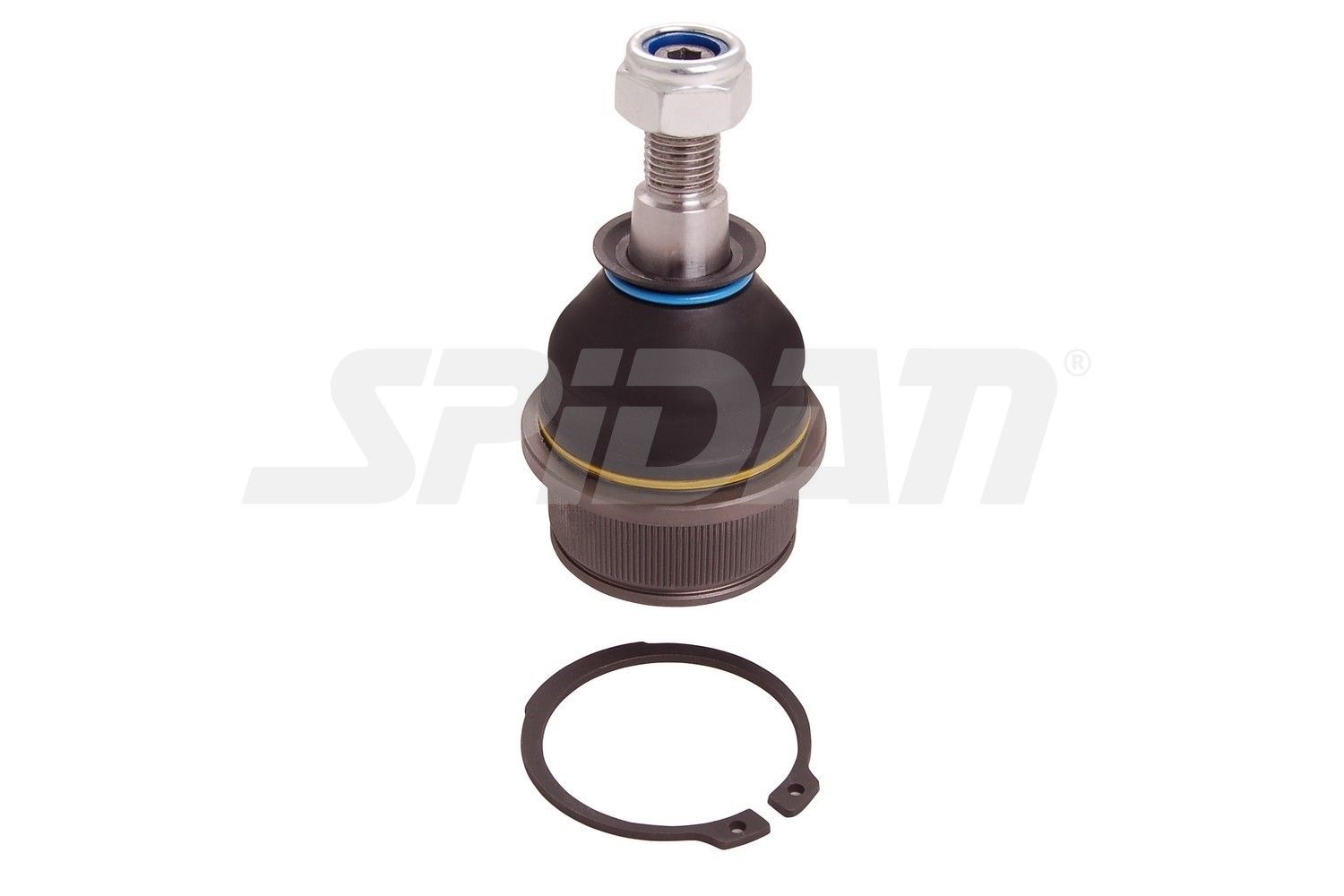 SPIDAN CHASSIS PARTS Lower Front Axle, Requires special tools for mounting, 17,3mm, 49,7mm Cone Size: 17,3mm Suspension ball joint 46864 buy