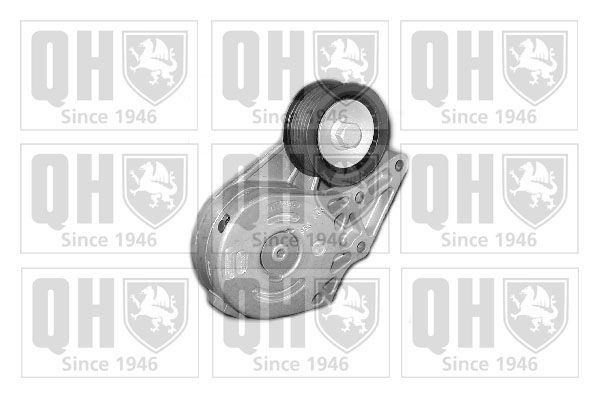 Ford Tendeur courroie crantée pièces de rechange - Tendeur, courroie trapézoïdale à nervures QUINTON HAZELL QTA1182