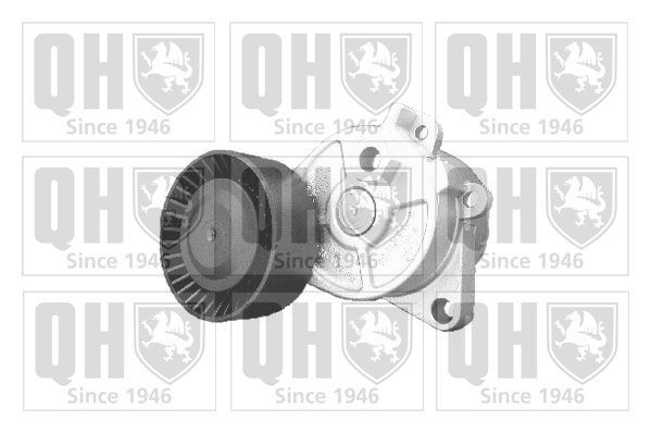 QUINTON HAZELL QTA918 Fan belt tensioner BMW 5 Saloon (E39) 520 i 163 hp Petrol 2001