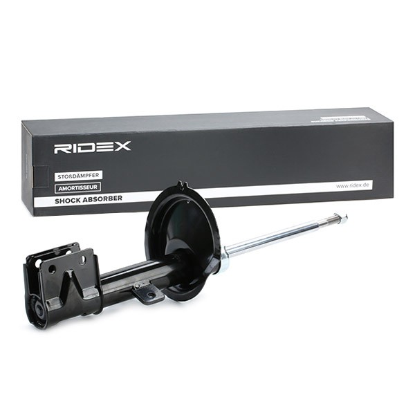 RIDEX Suspension shocks 854S2196