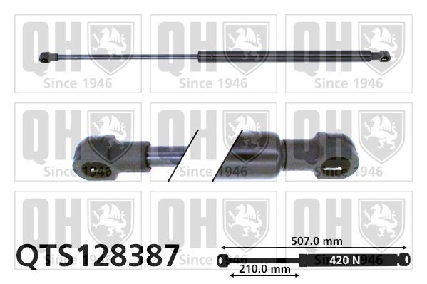 QUINTON HAZELL QTS128387 Tailgate strut 420N, 507 mm