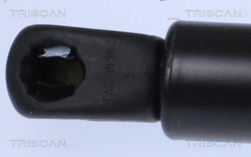 8710292067 Boot gas struts TRISCAN 8710 292067 review and test