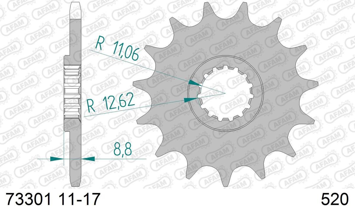 AFAM 73301-13 Chain Pinion Number of Teeth: 13