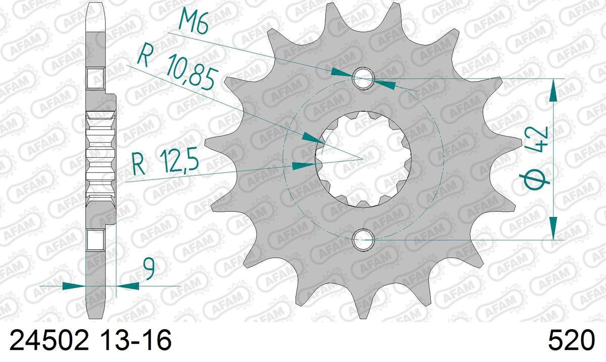 AFAM 24502-16 Chain Pinion Number of Teeth: 16