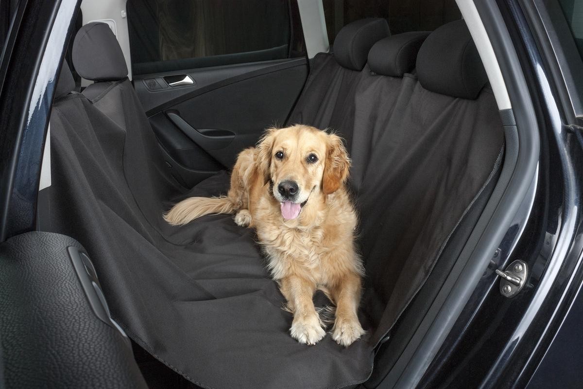 Pet car protector 13611 in Dog car accessories catalogue