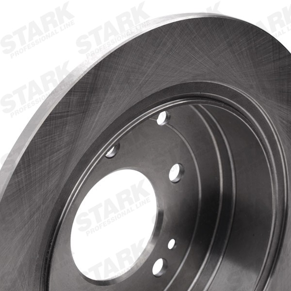 STARK SKBD-0023971 Brake rotor Rear Axle, 302x10mm, 5, 5/8