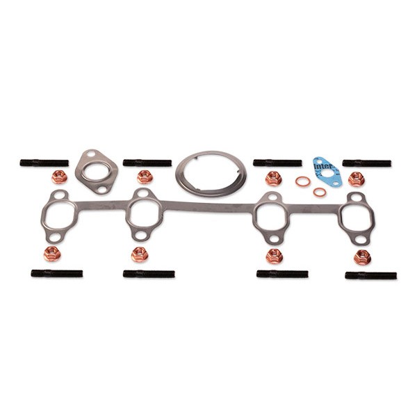 Volkswagen POLO Mounting kit, exhaust system 14756088 RIDEX 2420M0009 online buy