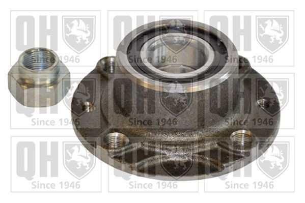 QUINTON HAZELL QWB244 Wheel bearing kit 4 399 856