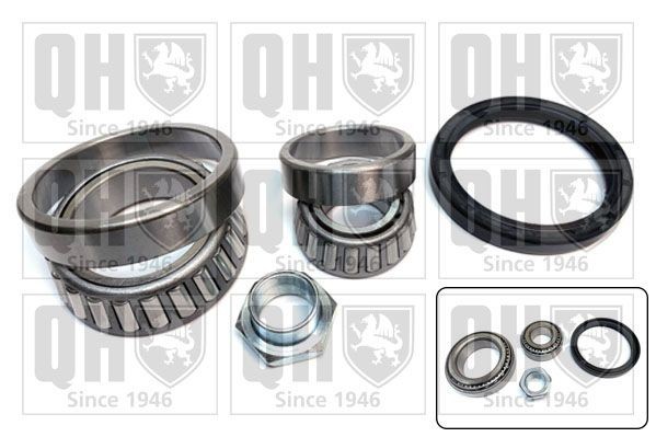 QUINTON HAZELL The Original QWB521 Wheel bearing kit 251405645B