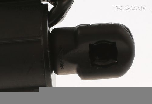 871011306 Boot gas struts TRISCAN 8710 11306 review and test