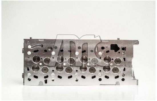 908836 Cylinder Head 908836 AMC with valves, with valve springs