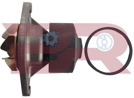 Great value for money - BOTTO RICAMBI Water pump BRAC2854