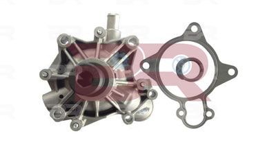 BRAC9725A BOTTO RICAMBI Water pumps OPEL with seal
