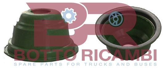 BOTTO RICAMBI BRFR1677 Dichtring, Bremsbacke für IVECO EuroTech MT LKW in Original Qualität