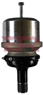 BOTTO RICAMBI BRFR6699 Membranbremszylinder für IVECO EuroCargo I-III LKW in Original Qualität