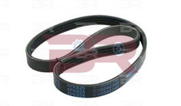 BOTTO RICAMBI 1835mm, 12, EPDM (ethylene propylene diene Monomer (M-class) rubber) Number of ribs: 12, Length: 1835mm Alternator belt BRM2568 buy