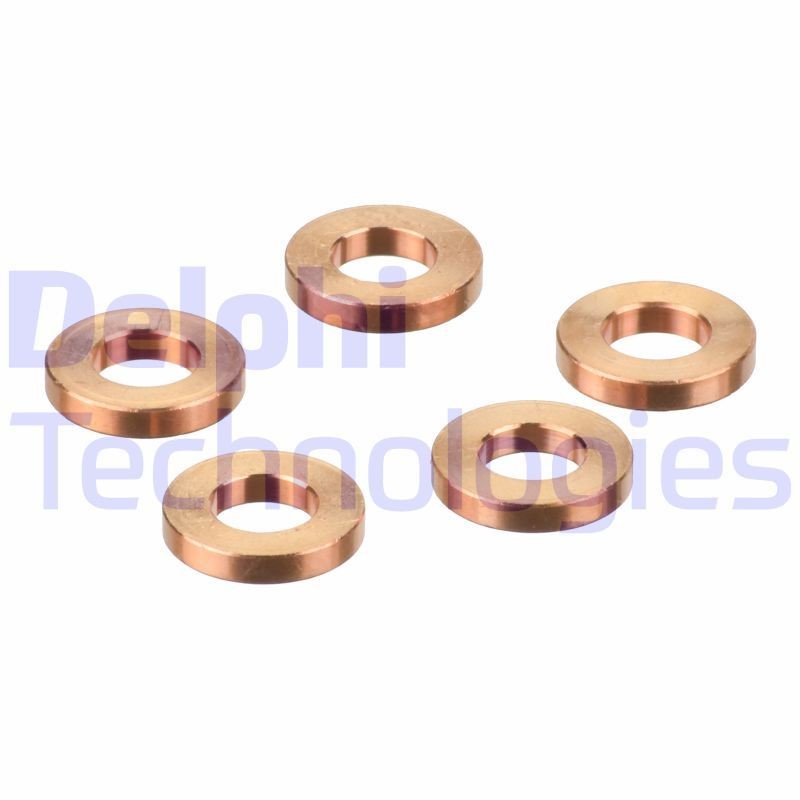 Injector seal ring DELPHI - 9001-850P