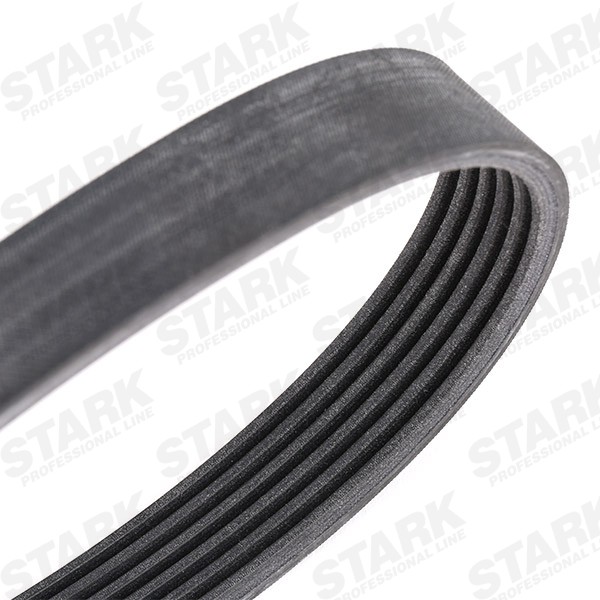 SKRBS-1200122 Serpentine belt kit SKRBS-1200122 STARK