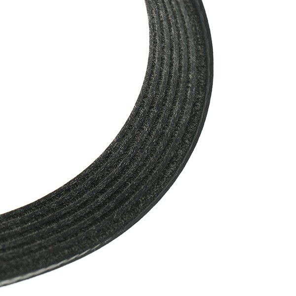 305P0399 Ribbed belt 305P0399 RIDEX 1245mm, 6