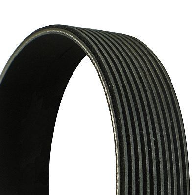 CONTITECH 10PK2125 Serpentine belt 2125mm, 10